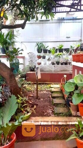 Rumah Alam Tajur Bogor Murah Hanya 900 Jt-an Dekat Mie Gacoan