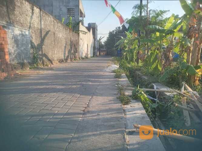 Tanah di Manukan Utara condong catur dekat jl rajawali raya, Utara Pakuwon mall dan Polda DIY