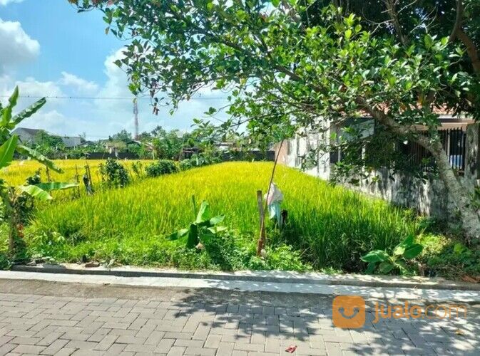 Tanah di Manukan Utara condong catur dekat jl rajawali raya, Utara Pakuwon mall dan Polda DIY