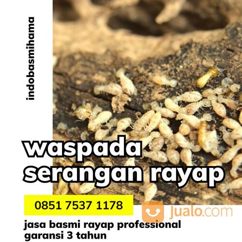 anti rayap terbaik di surakarta solo
