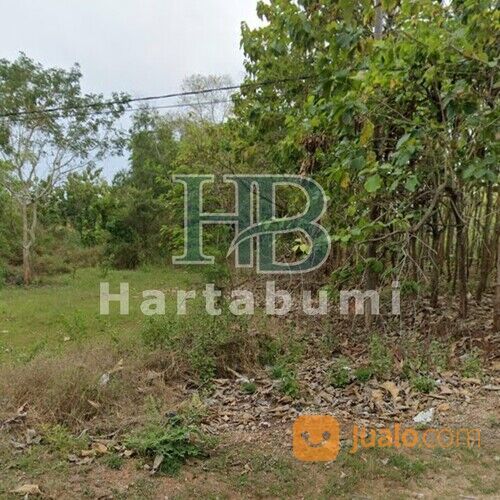 Tanah Pamekasan Tepi Jalan Raya Pasean Hanya 300ribuan/m2