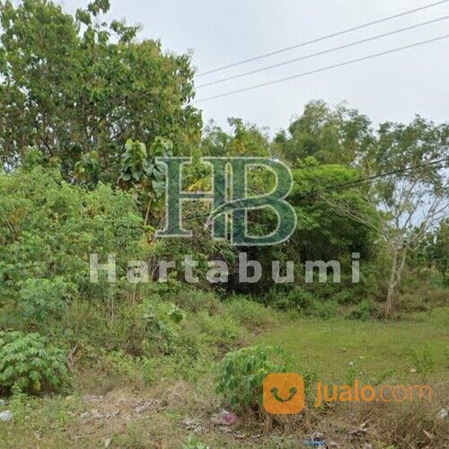 Tanah Pamekasan Tepi Jalan Raya Pasean Hanya 300ribuan/m2