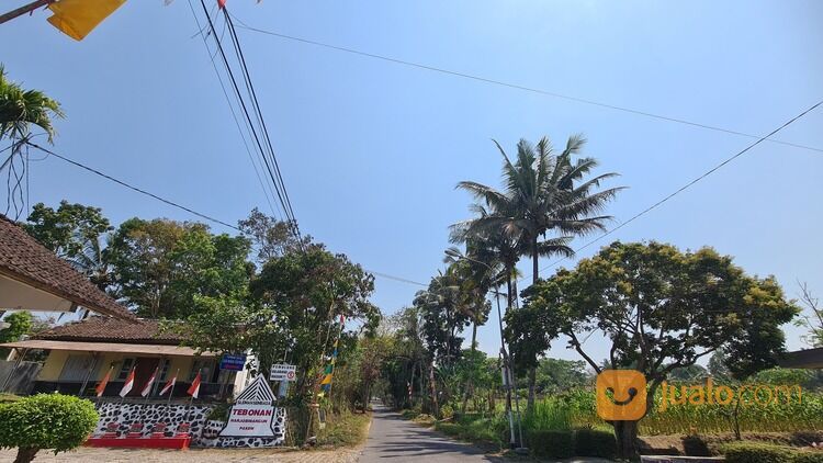 Tanah Jogja Kec. Pakem Hanya 200 Jutaan Akses Mobil