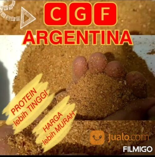 CGF - Corn gluten feed - cgf murah - cgf lokal - cgf cargill - cgf rbi - cgf miwon - cgf argentina