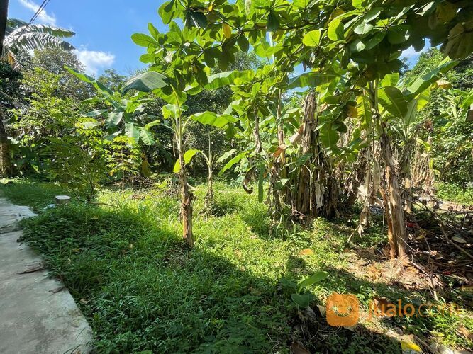 Tanah Murah Cocok Untuk Investasi 500 M SAMSAT Parung