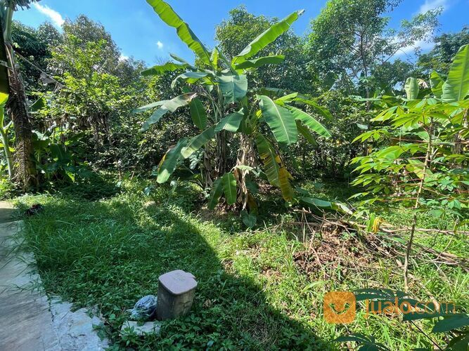 Tanah Murah Cocok Untuk Investasi 500 M SAMSAT Parung