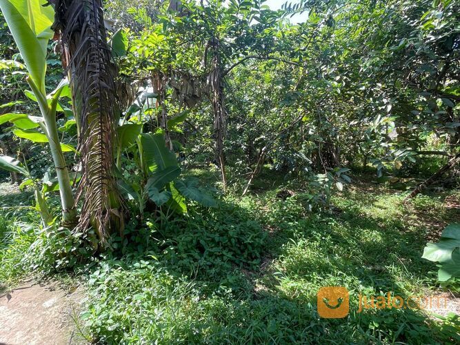 Tanah Murah Cocok Untuk Investasi 500 M SAMSAT Parung