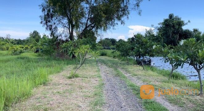 Tanah los pantai di bali desa kerobokan, singaraja