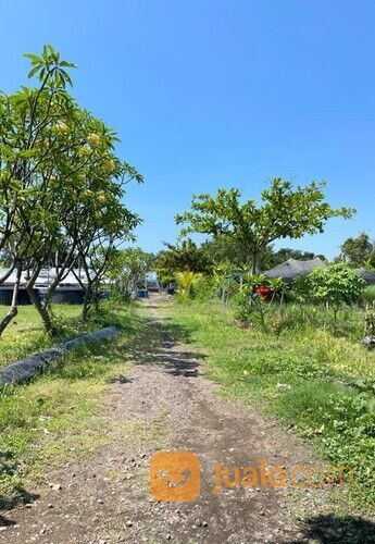 Tanah los pantai di bali desa kerobokan, singaraja