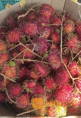 Rambutan binjai