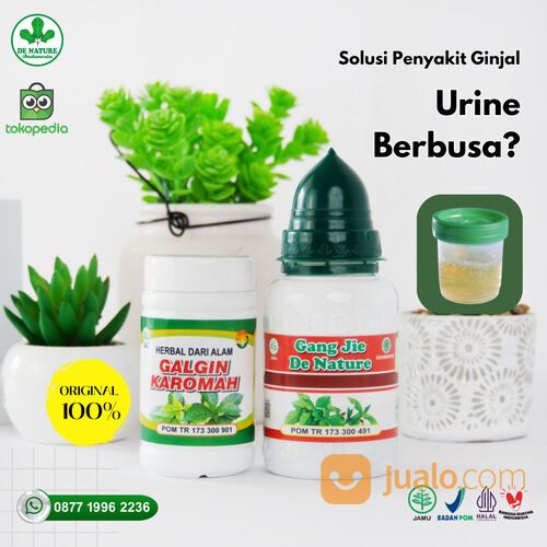 Obat Kencing Berbusa Mengatasi Sakit Kencing kencing berbusa Herbal Anak & Dewasa Asli