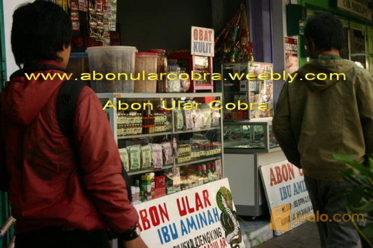 Empedu Ular Cobra