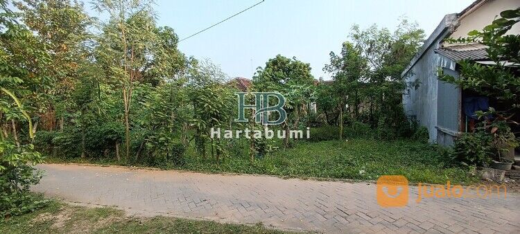 Tanah Kedungwaru Dekat Samsat Tulungagung Cocok Untuk Hunian