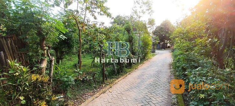 Tanah Kedungwaru Dekat Samsat Tulungagung Cocok Untuk Hunian