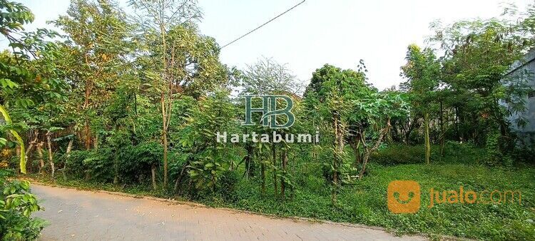 Tanah Kedungwaru Dekat Samsat Tulungagung Cocok Untuk Hunian