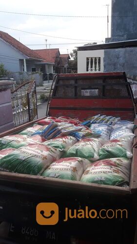Agen Beras Super Bunga Ramos 25 Kg Di Cirebon