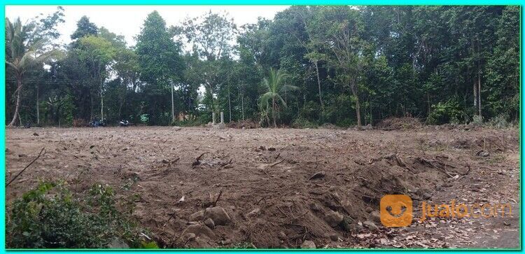 Tanah Jogja Jangkang Ngemplak Akses Mudah harga 3 jt an/m