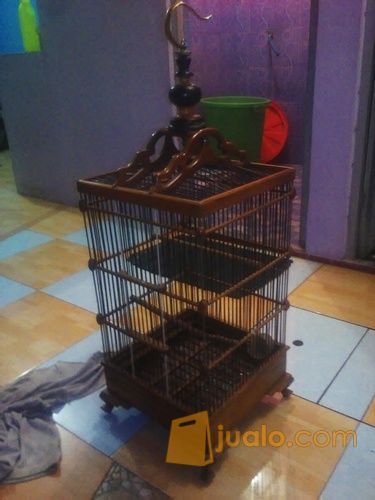 sangkar burung ukuran untuk goci, kenari kebawah