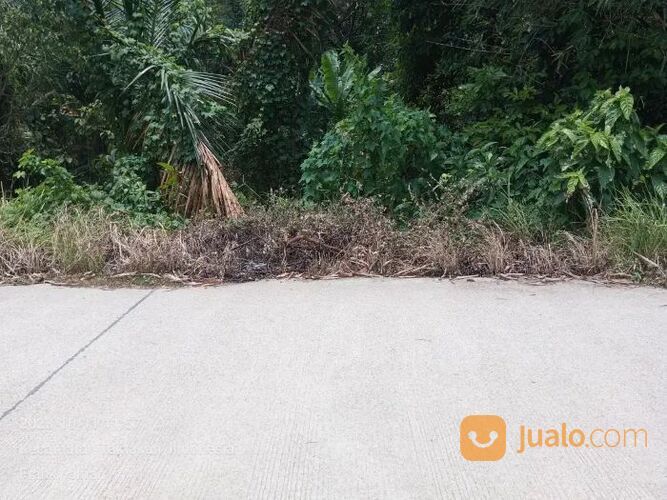 Tanah Kebun Pinggir Jalan Di Kuranji Ciracas Dekat Sepang Elok