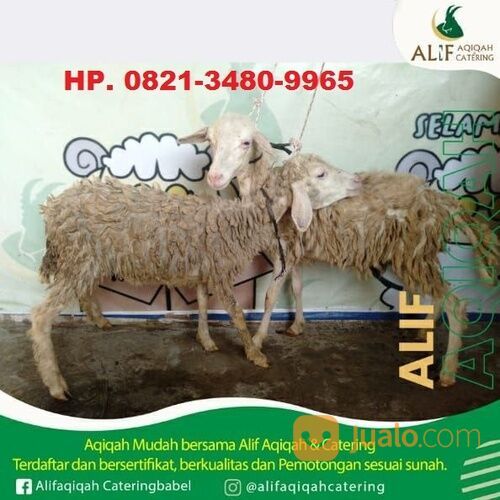 Paket Aqiqah Anak Laki Laki dan Perempuan di Pangkalpinang, Call / WA : 082134809965