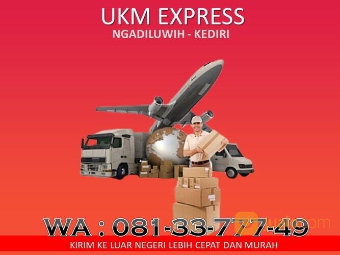 WA: 0818377749, jasa kirim burung antar pulau