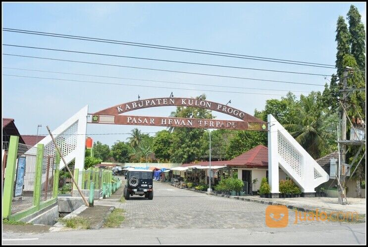 Cocok Bangun Villa, Kawasan Wisata Kulon Progo Jogja