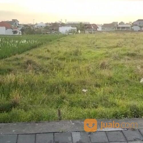 Tanah 16,02 are, Jl. Subak Daksina Tibubeneng Canggu UTARA Kuta Utara