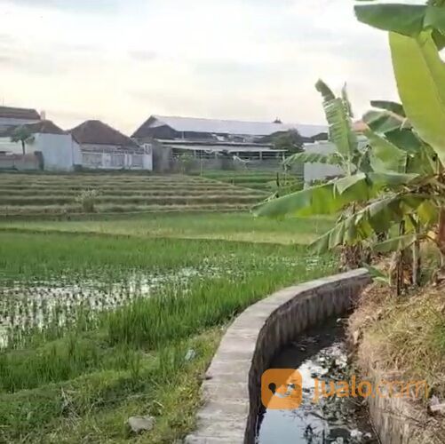 Tanah 16,02 are, Jl. Subak Daksina Tibubeneng Canggu UTARA Kuta Utara