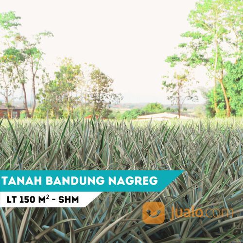 5 Menit Rencana Kampus UNISBA Nagreg Tanah Cicalengka Cocok Bangun Kos-kosan