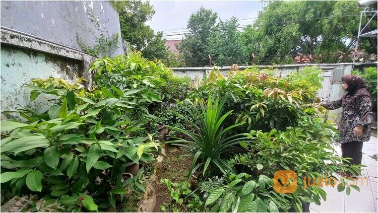 Rumah Dan Ruang Usaha Belakang Java Mall Semarang