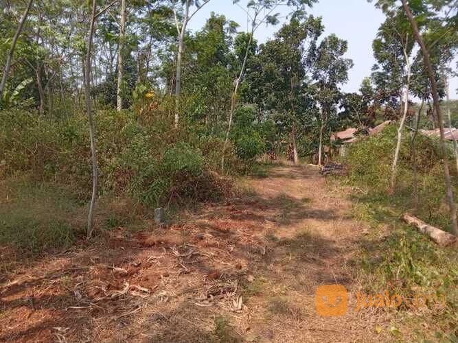 Dekat Alfamart Wonopringgo, Luas 138 m², Sertifikat SHM Ready