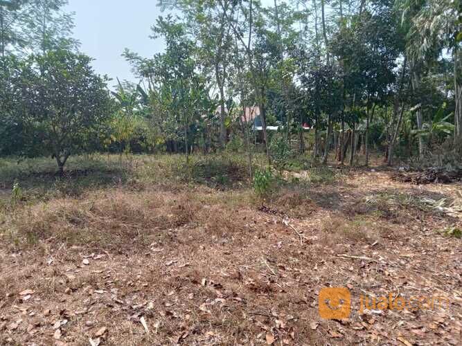 Dekat Alfamart Wonopringgo, Luas 138 m², Sertifikat SHM Ready