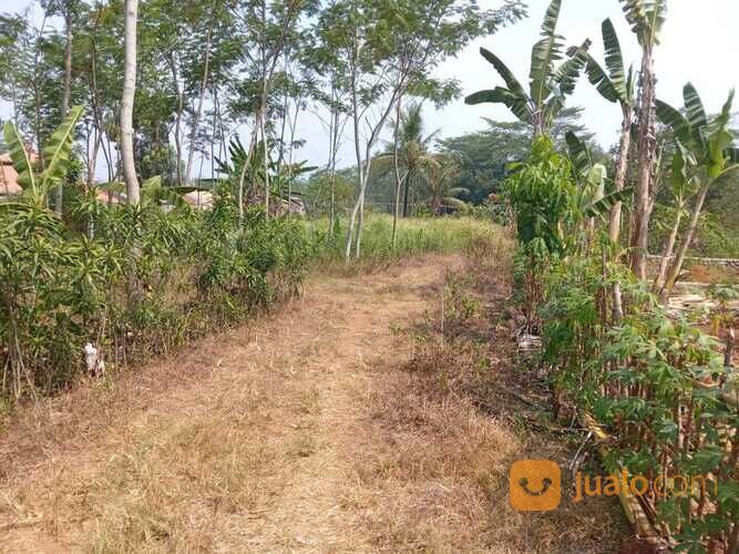 Dekat Alfamart Wonopringgo, Luas 138 m², Sertifikat SHM Ready