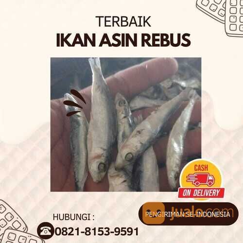 IKAN ASIN REBUS TERBAIK!! 0821-8153-9591 Kabupaten Aceh.