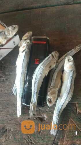 IKAN ASIN REBUS TERBAIK!! 0821-8153-9591 Kabupaten Aceh.