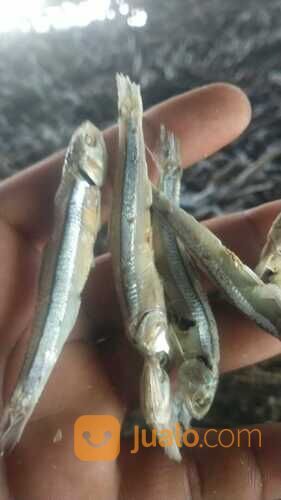 IKAN ASIN REBUS TERBAIK!! 0821-8153-9591 Kabupaten Aceh.