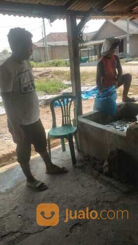 Viral, 0821-8153-9591, Harga Teri Rebus Jengki di Jambi