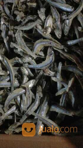 BEST SELLER!! IKAN ASIN REBUS BERKAH JAYA BAHARI 0821-8153-9591 KABUPATEN ACEH.