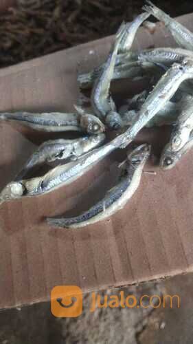 BEST SELLER!! IKAN ASIN REBUS BERKAH JAYA BAHARI 0821-8153-9591 KABUPATEN ACEH.