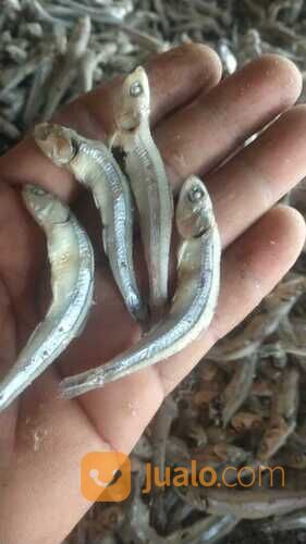 BEST SELLER!! IKAN ASIN REBUS BERKAH JAYA BAHARI 0821-8153-9591 KABUPATEN ACEH.