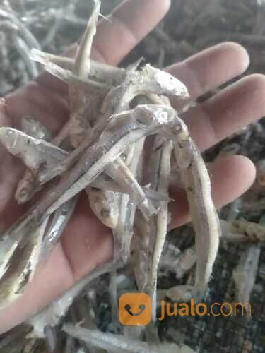 BEST SELLER!! IKAN ASIN REBUS BERKAH JAYA BAHARI 0821-8153-9591 KABUPATEN ACEH.