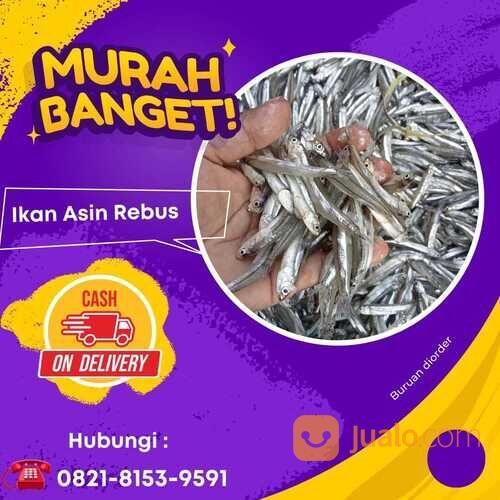 BEST SELLER!! IKAN ASIN REBUS BERKAH JAYA BAHARI 0821-8153-9591 KABUPATEN ACEH.
