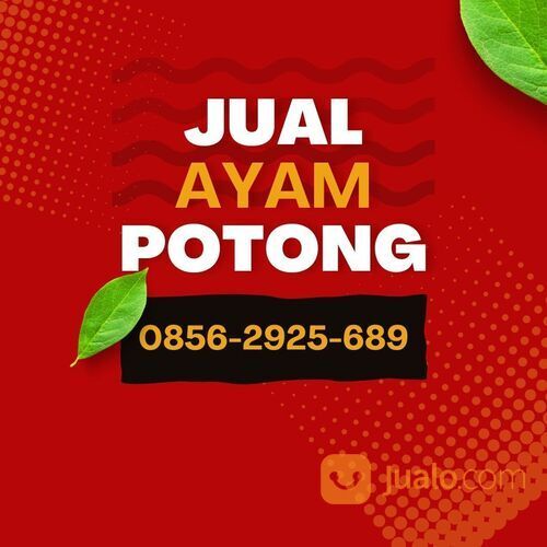 Supplier Ayam Potong Gamping Sleman (0856-2925-689)