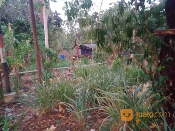 Lahan 18 Ha poros jl. Malino depan PT. Mayora.