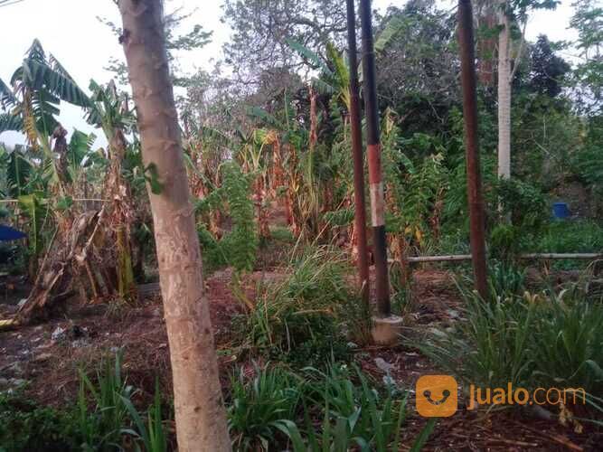 Lahan 18 Ha poros jl. Malino depan PT. Mayora.