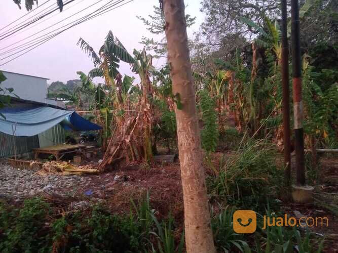 Lahan 18 Ha poros jl. Malino depan PT. Mayora.