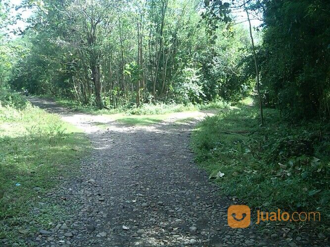 Lahan -+5 Ha belakang PT. Mayora Pakkatto.