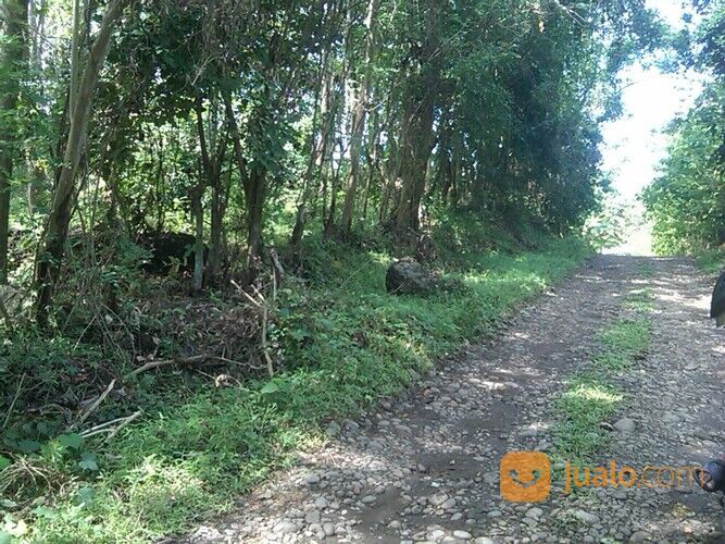Lahan -+5 Ha belakang PT. Mayora Pakkatto.
