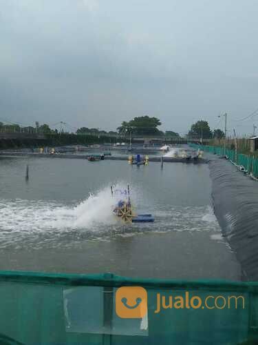 Tambak Udang Fanami Masih Aktif Desa Permisan Porong Siap Pakai TINGGAL NERUSIN