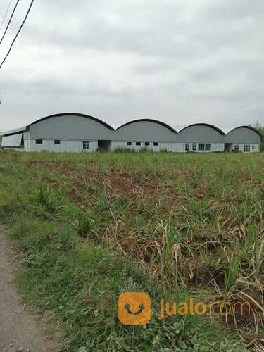Tanah MURAH BU CPT area TEMBORO (500-4000M2)